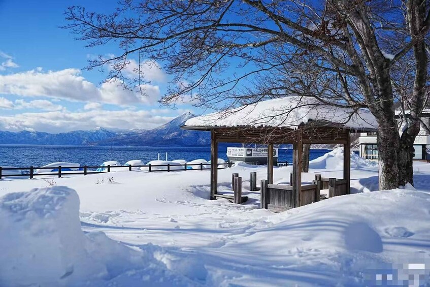 3-Day Small-Group Tour: Sapporo, Asahikawa, Furano & Otaru 1