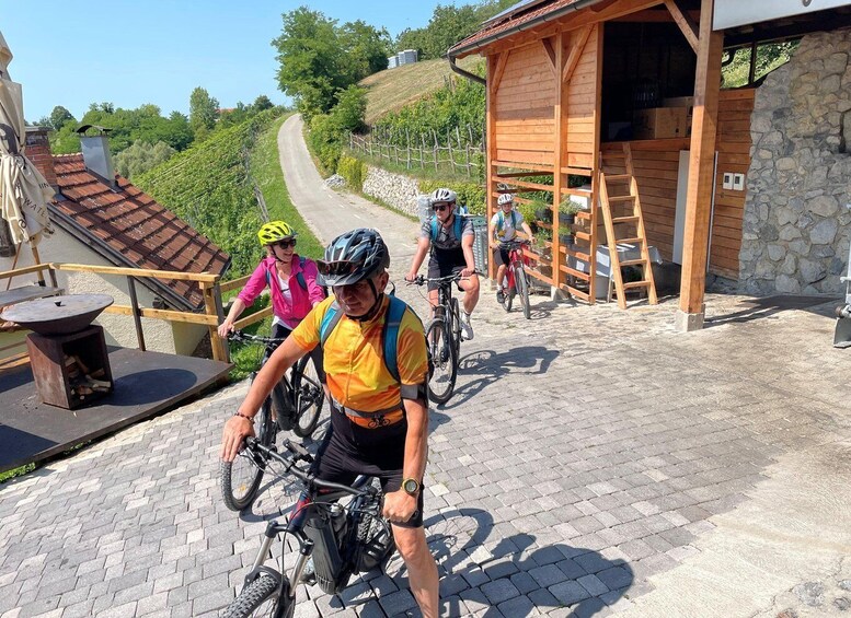 Picture 7 for Activity Krapinske Toplice: E-Bike Tour and Wine Taste on Vuglec Breg 1
