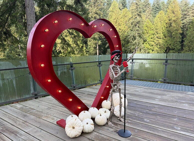 Picture 80 for Activity CANYON LIGHTS+Capilano Suspension Bridge/Small Group/CAR 3