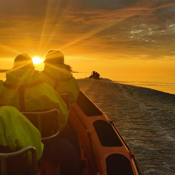 Picture 4 for Activity Midnight sun safari 1