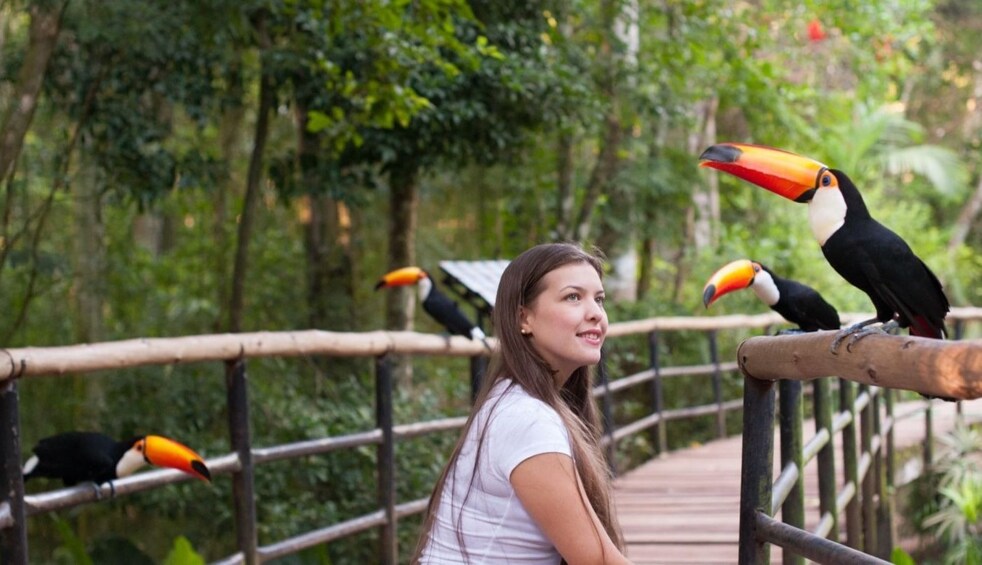 Foz de Iguaçu: Brazilian Falls and Bird Park 1