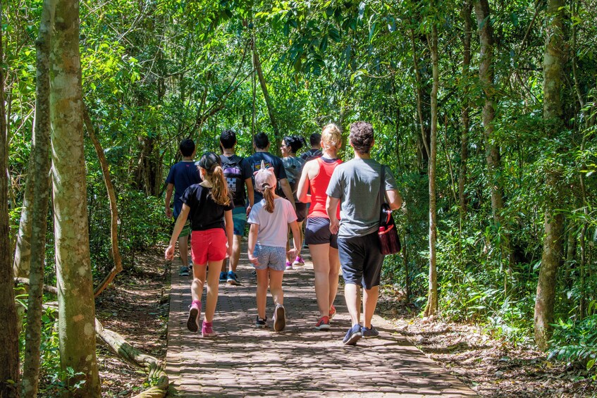 Foz de Iguaçu: Brazilian Falls and Bird Park 5