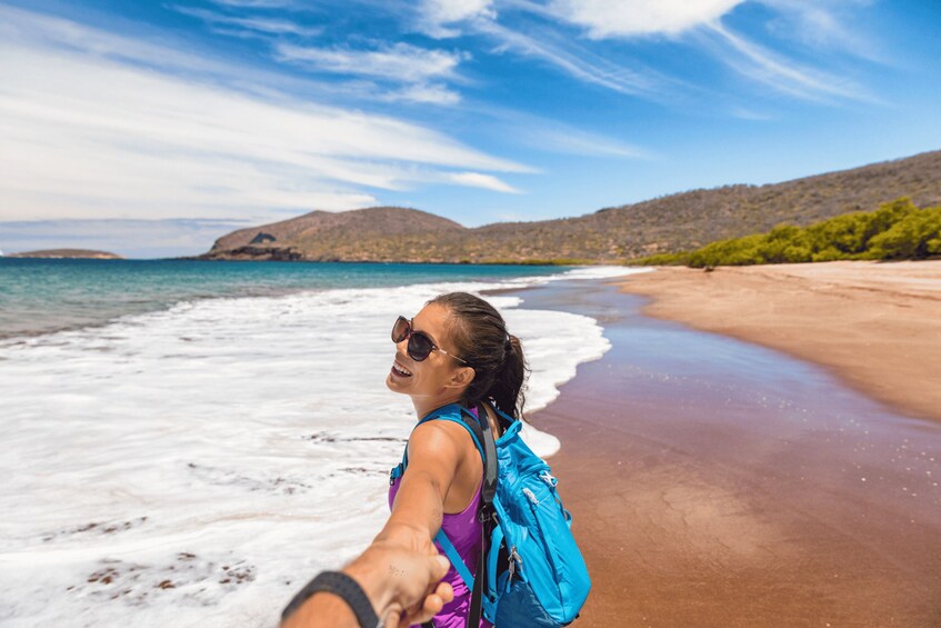 A person holding hands with another on a beach with waves, mountains, and a clear sky. 1