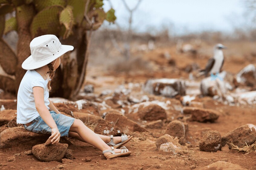 A child sitting on rocks in a dry, rocky landscape with sparse vegetation. 5