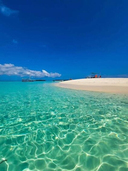 Picture 19 for Activity Zanzibar:Prison Island, Nakupenda & Spice Farm with Lunch 2