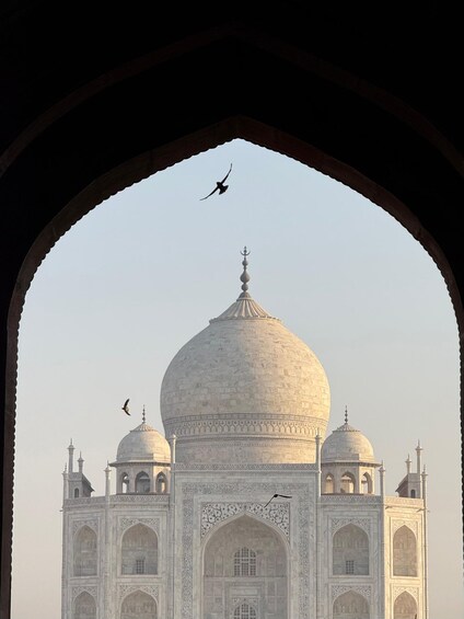 The Taj Mahal with a bird flying in the sky. 2