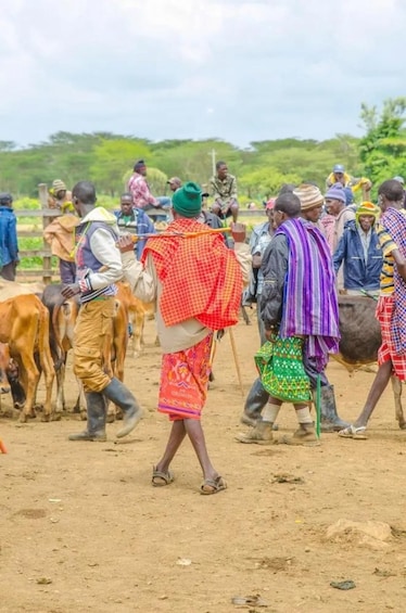 Picture 2 for Activity Nyahururu: Rumuruti livestock market visit with local guide 3