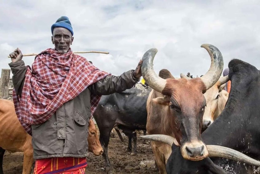 Nyahururu: Rumuruti livestock market visit with local guide 1