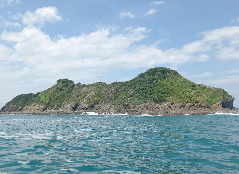Picture 9 for Activity Marino Ballena National Park: Watching Whales and Dolphins 3
