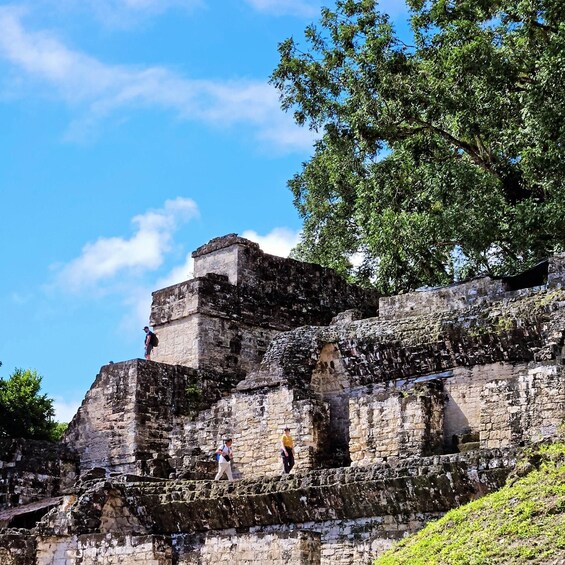 Picture 9 for Activity Tikal Group Tour Transportation, Guide plus Lunch 5