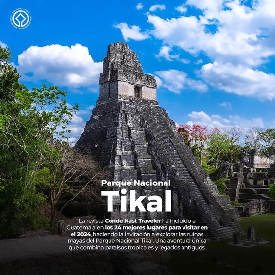 Tikal Group Tour Transportation, Guide plus Lunch 1