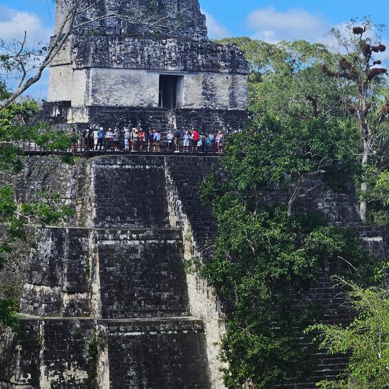 Picture 15 for Activity Tikal Group Tour Transportation, Guide plus Lunch 4