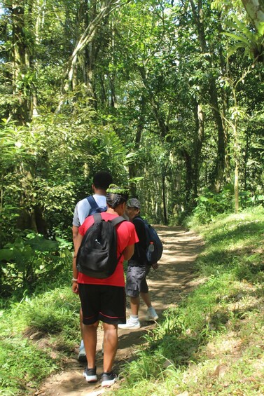 A group of people walking on a forest path surrounded by dense greenery. 4