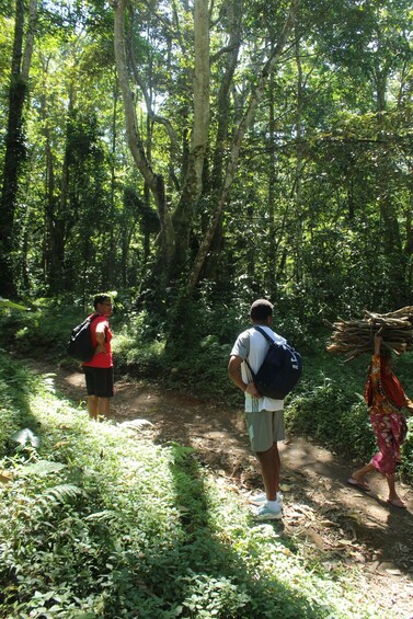 Two people walking on a forest path, one carrying a backpack and the other carrying a bundle of sticks. 2