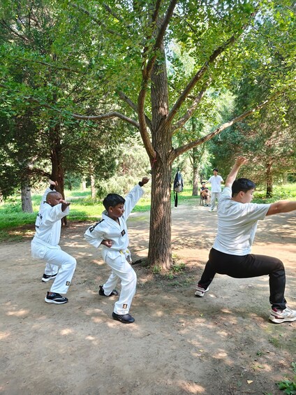 People practicing martial arts in a park with trees and a dirt path. 3