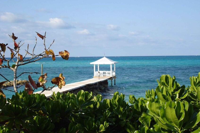 A white gazebo on a pier extending into turquoise waters, surrounded by lush green foliage. 3