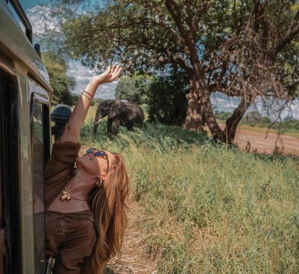 A person leaning out of a vehicle window, looking at an elephant in a natural setting. 5