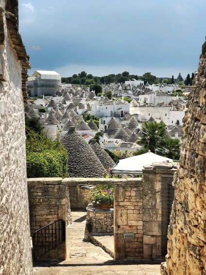 Picture 8 for Activity Alberobello: Private or Group 2-hour Walking Tour 3