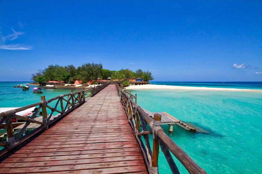 Stone town, Algebra tortoise & Relax nakupenda ( SANDBANK) 1