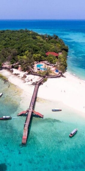 Picture 10 for Activity Stone town, Algebra tortoise & Relax nakupenda ( SANDBANK) 4