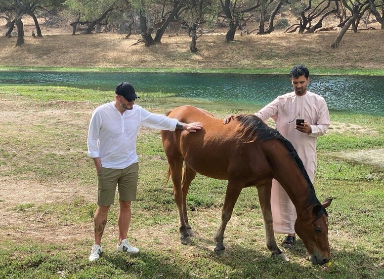 Picture 5 for Activity East Salalah Tour by VisitSalalah 4