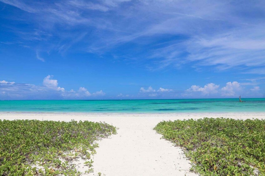 A beach with a clear sky, turquoise water, and a sandy path leading to the sea. 5
