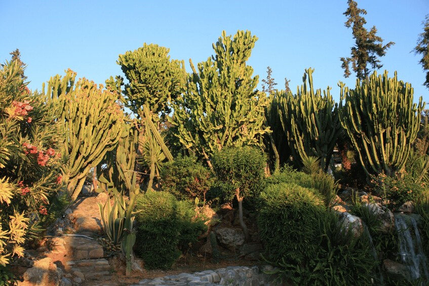 Picture 8 for Activity From Rethymno: Waterpark Day with Bus Transfer & Guide 5