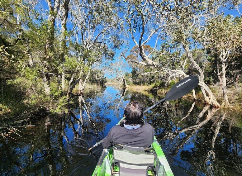 A person kayaking on a calm river surrounded by dense trees. 1