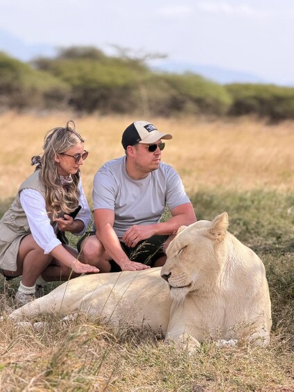 Two people sitting on the ground next to a white lion in a grassy savannah. 4