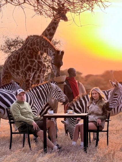 A group of people seated at a table with giraffes and zebras in the background. 2