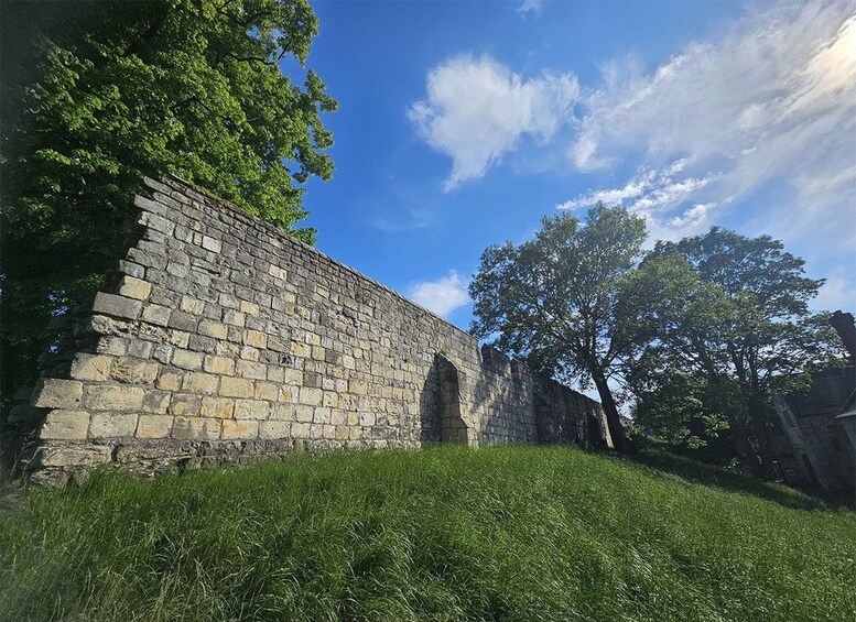 A stone wall with a tree in the background. 2
