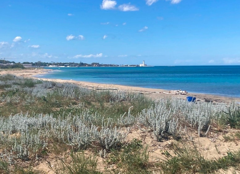 A coastal landscape with a sandy beach, dense vegetation in the foreground, and a lighthouse in the distance. 3
