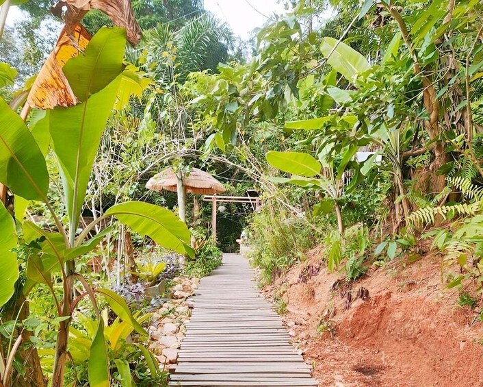 Picture 7 for Activity Zipline in Koh Samui Adventure activity tour 4