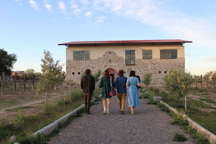 Aguascalientes: Magical Town and Vineyard Tour 1