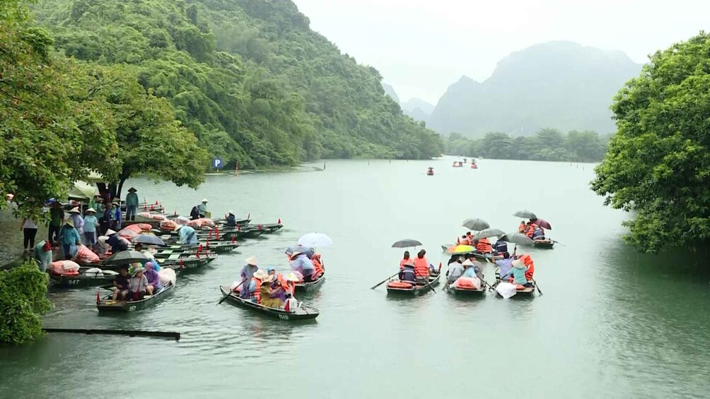 Picture 6 for Activity Phong Nha/Dong Hoi: Private Car Transfer to Ninh Binh 5