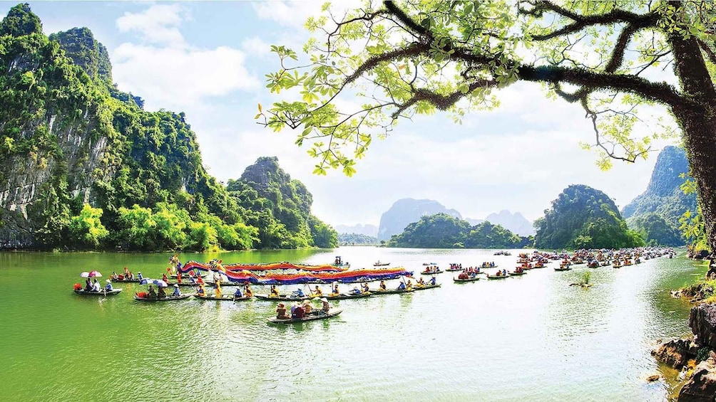 Picture 4 for Activity Phong Nha/Dong Hoi: Private Car Transfer to Ninh Binh 3