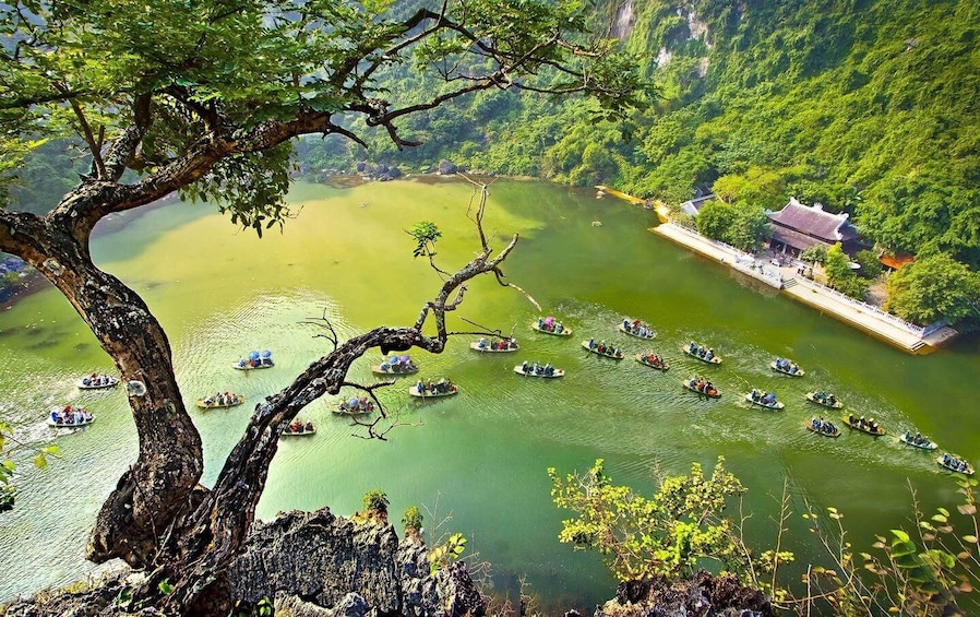Phong Nha/Dong Hoi: Private Car Transfer to Ninh Binh 1