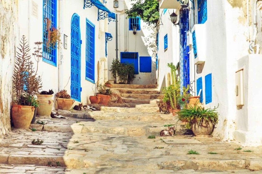 A narrow stone street flanked by white buildings with blue doors and windows. 2
