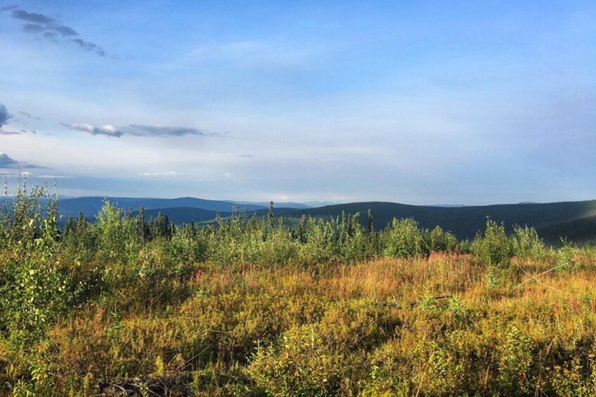 A landscape with a field of vegetation, distant hills, and a clear sky. 4
