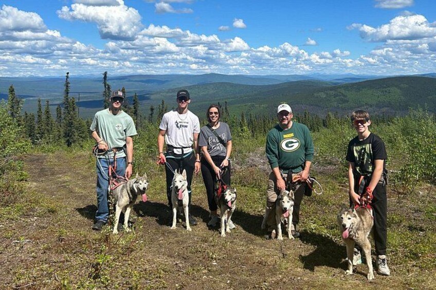 A group of people and dogs on a mountain trail with a scenic view of the landscape. 2