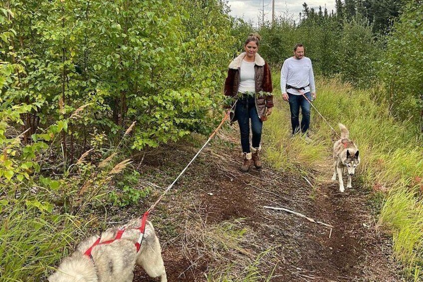 To personer går en tur med en hund på en sti i et skovområde. 2