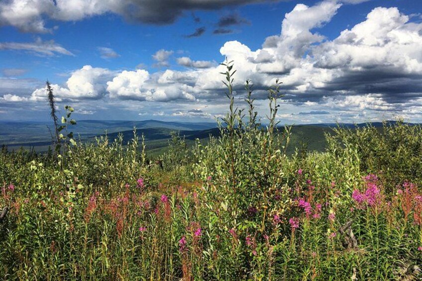 The view from the top of the ridge. 4