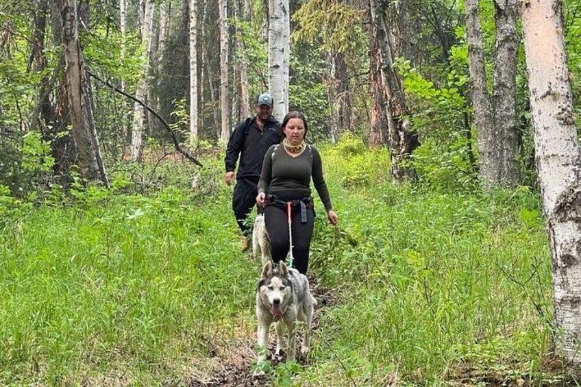 Husky Hike - Guided Nature Walk w/ Siberian Huskies 2