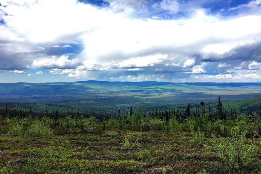 Et bjerglandskab med tætte skove og en skyet himmel. 4