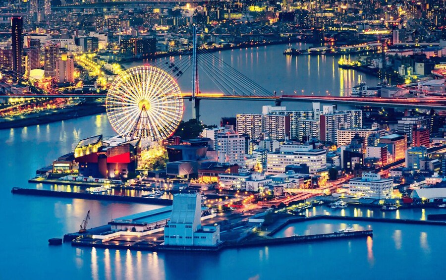 Picture 5 for Activity Full Day Private Osaka City Tour with EnglishSpeaking guide 2