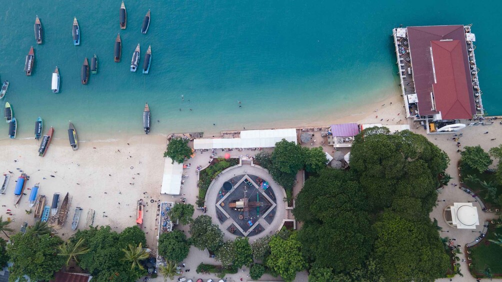 Picture 22 for Activity Zanzibar: Prison Island, Stone town & Spice farm with Lunch 3