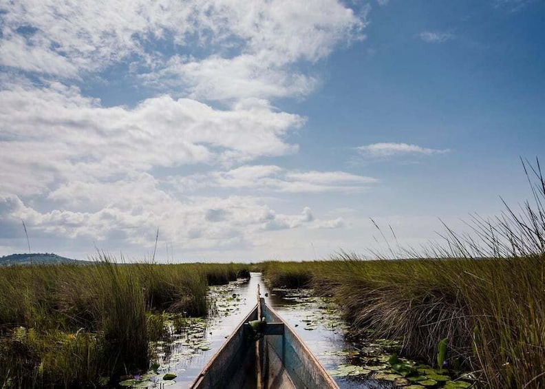 A narrow waterway flanked by tall grasses under a partly cloudy sky. 4