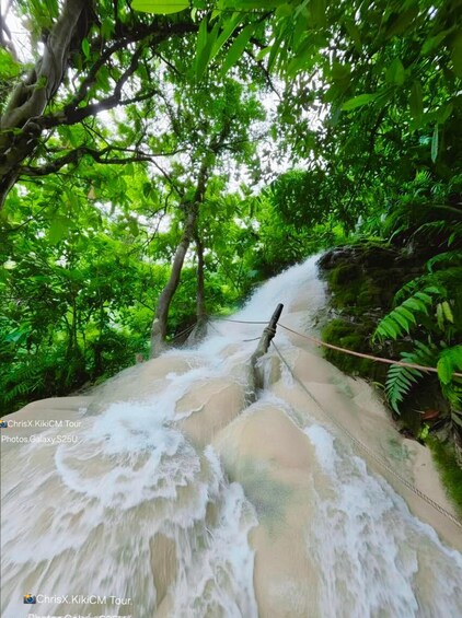 A waterfall in a lush forest. 5