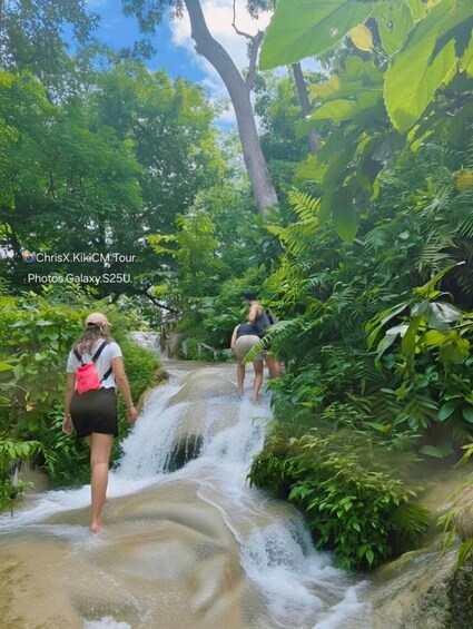 A waterfall in a lush green forest. 5