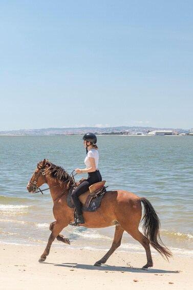 Picture 6 for Activity PRIVATE Horseback Riding On The Beach 3